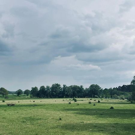 Ferienwohnungen Stolzenhagener 7 Lunow-Stolzenhagen Bagian luar foto