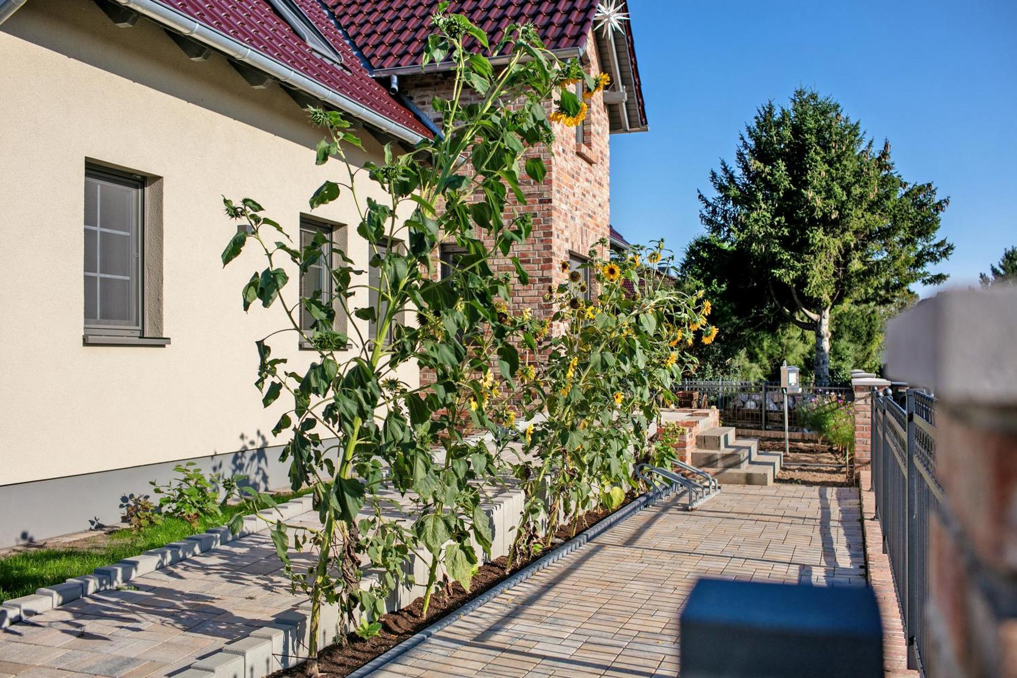 Ferienwohnungen Stolzenhagener 7 Lunow-Stolzenhagen Bagian luar foto
