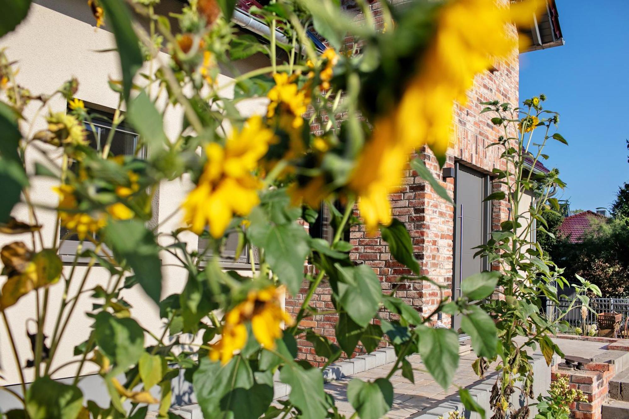 Ferienwohnungen Stolzenhagener 7 Lunow-Stolzenhagen Bagian luar foto